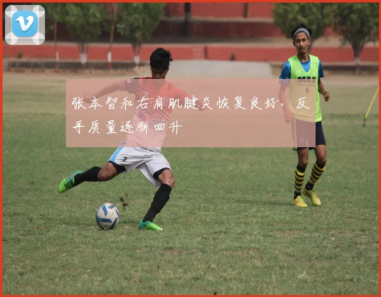 张本智和右肩肌腱炎恢复良好,反手质量逐渐回升